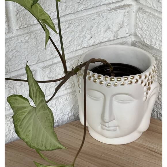 Buddha Head Face Concrete Planter Flower Pot White Gold Hobnail Textured Figural - Picture 3 of 14